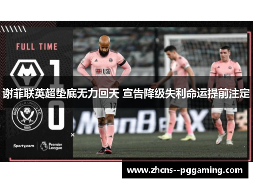 谢菲联英超垫底无力回天 宣告降级失利命运提前注定