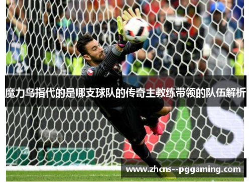 魔力鸟指代的是哪支球队的传奇主教练带领的队伍解析